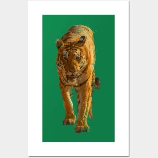 Tiger Posters and Art